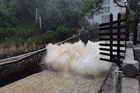 暴雨傾城，水控人冒雨排澇保暢通，守土盡責保供水安全！