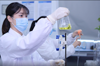巾幗不讓須眉，她們獲省級巾幗文明崗榮譽